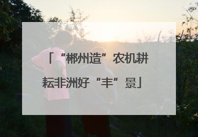 “郴州造”农机耕耘非洲好“丰”景