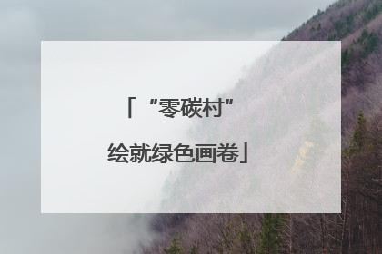 “零碳村” 绘就绿色画卷