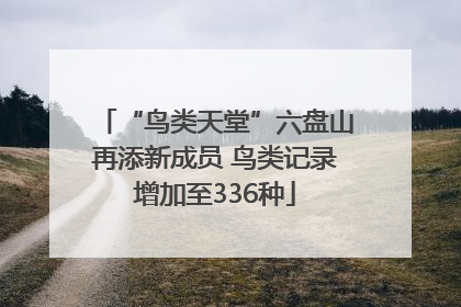 “鸟类天堂”六盘山再添新成员 鸟类记录增加至336种
