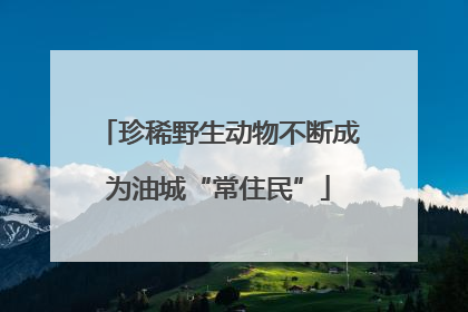 珍稀野生动物不断成为油城“常住民”