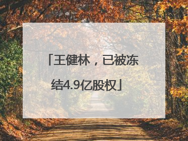 王健林，已被冻结4.9亿股权