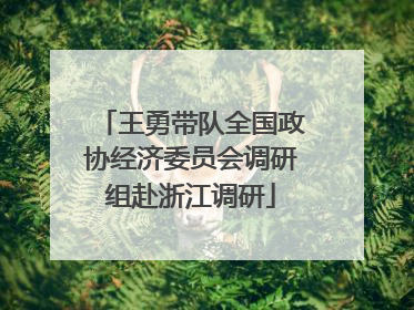 王勇带队全国政协经济委员会调研组赴浙江调研