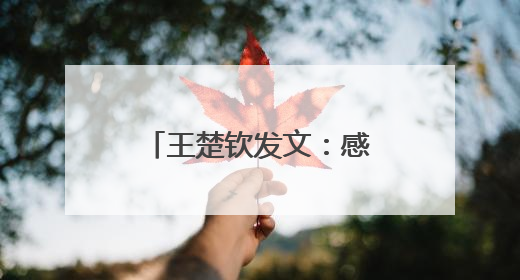 王楚钦发文：感谢莎莎，谢谢不管多痛苦也想证明一切的自己
