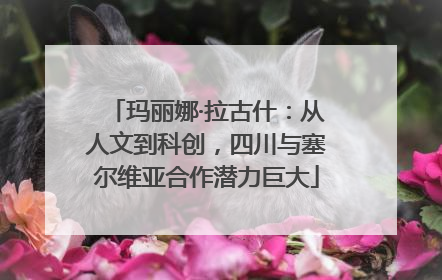 玛丽娜·拉古什：从人文到科创，四川与塞尔维亚合作潜力巨大
