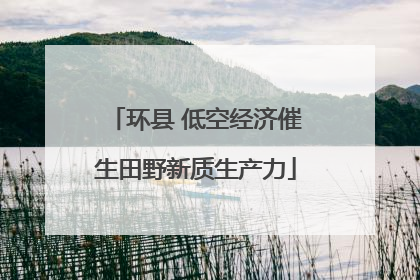 环县 低空经济催生田野新质生产力