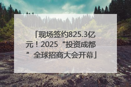 现场签约825.3亿元！2025“投资成都”全球招商大会开幕