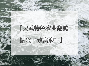 灵武特色农业翻腾振兴“致富浪”