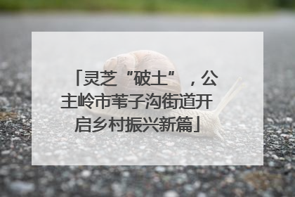 灵芝“破土”，公主岭市苇子沟街道开启乡村振兴新篇