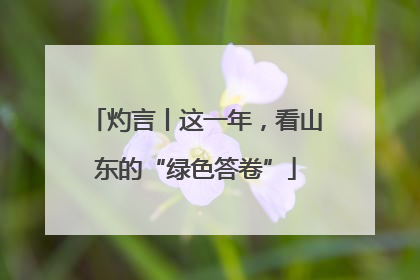 灼言丨这一年，看山东的“绿色答卷”