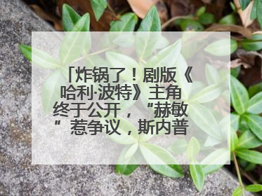 炸锅了！剧版《哈利·波特》主角终于公开，“赫敏”惹争议，斯内普变黑人……