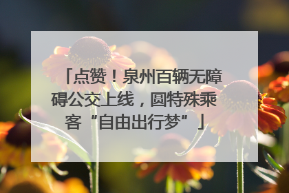 点赞！泉州百辆无障碍公交上线，圆特殊乘客“自由出行梦”