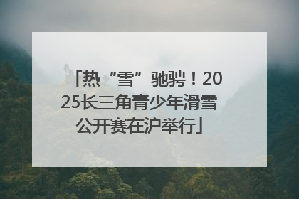 热“雪”驰骋！2025长三角青少年滑雪公开赛在沪举行