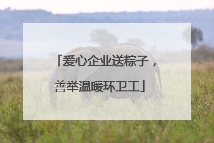 爱心企业送粽子，善举温暖环卫工