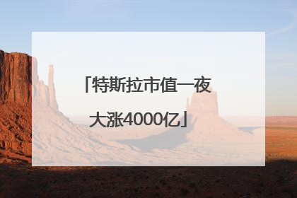 特斯拉市值一夜大涨4000亿