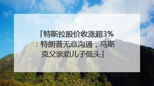 特斯拉股价收涨超3%：特朗普无意沟通，马斯克父亲劝儿子低头