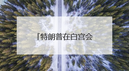 特朗普在白宫会见鲍威尔 讨论经济发展情况