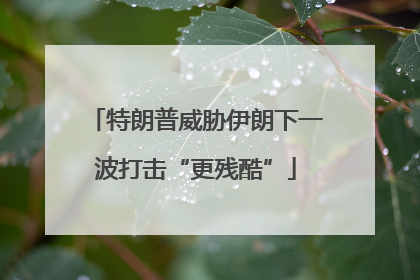 特朗普威胁伊朗下一波打击“更残酷”