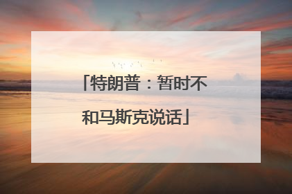 特朗普：暂时不和马斯克说话