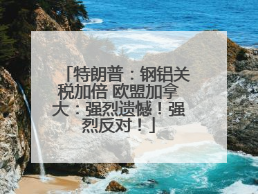 特朗普：钢铝关税加倍 欧盟加拿大：强烈遗憾！强烈反对！