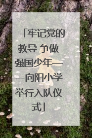 牢记党的教导 争做强国少年——向阳小学举行入队仪式