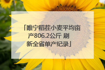 睢宁稻茬小麦平均亩产806.2公斤 刷新全省单产纪录
