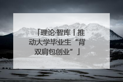 理论·智库丨推动大学毕业生“背双肩包创业”