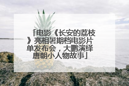 电影《长安的荔枝》亮相暑期档电影片单发布会，大鹏演绎唐朝小人物故事