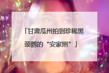 甘肃瓜州拍到珍稀黑颈鹤的“安家照”