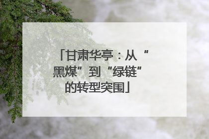 甘肃华亭：从“黑煤”到“绿链”的转型突围
