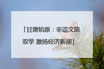 甘肃镇原：非遗文旅双擎 激扬经济新潮