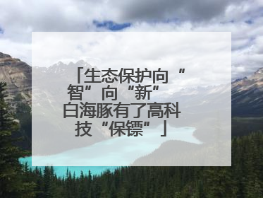 生态保护向“智”向“新” 白海豚有了高科技“保镖”