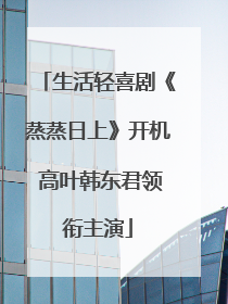 生活轻喜剧《蒸蒸日上》开机 高叶韩东君领衔主演