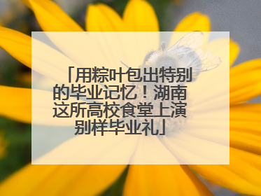 用粽叶包出特别的毕业记忆！湖南这所高校食堂上演别样毕业礼