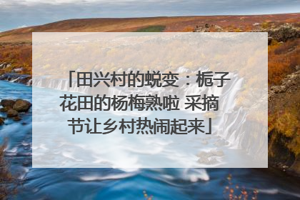 田兴村的蜕变：栀子花田的杨梅熟啦 采摘节让乡村热闹起来
