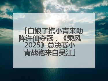 白娘子携小青来助阵许仙夺冠，《乘风2025》总决赛小青战袍来自吴江