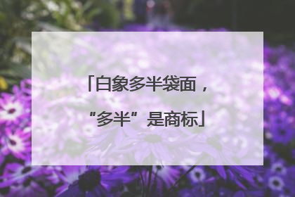 白象多半袋面，“多半”是商标