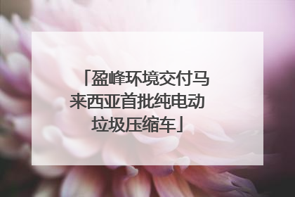 盈峰环境交付马来西亚首批纯电动垃圾压缩车