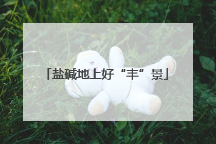盐碱地上好“丰”景