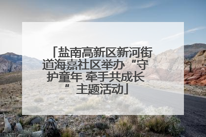 盐南高新区新河街道海嘉社区举办“守护童年 牵手共成长”主题活动