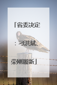 省委决定：刁洪斌、荣刚履新