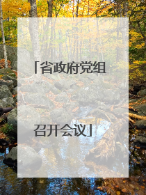 省政府党组召开会议