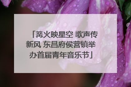 篝火映星空 歌声传新风 东昌府侯营镇举办首届青年音乐节