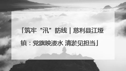筑牢“汛”防线｜慈利县江垭镇：党旗映溇水 清淤见担当