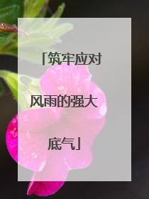 筑牢应对风雨的强大底气