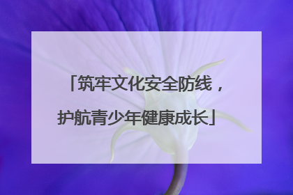 筑牢文化安全防线，护航青少年健康成长