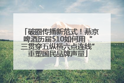 破圈传播新范式！燕京啤酒历届510如何用“三贯穿五纵横六点连线”重塑国民品牌声量