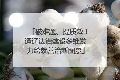 破难题、提质效！通辽法治建设多维发力绘就善治新图景