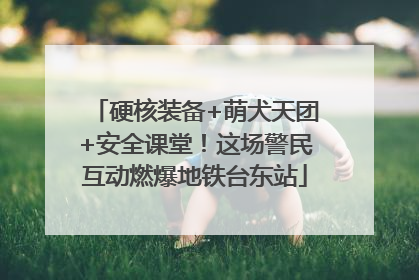 硬核装备+萌犬天团+安全课堂！这场警民互动燃爆地铁台东站