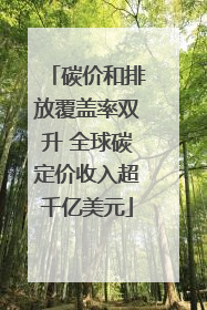 碳价和排放覆盖率双升 全球碳定价收入超千亿美元