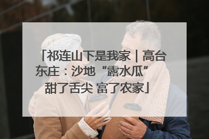 祁连山下是我家｜高台东庄：沙地“露水瓜” 甜了舌尖 富了农家